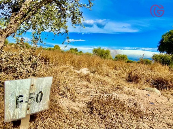 GREENWOOD VENDE LOTE EN VISTALBA CON VISTA UNICA A LA CORDILLERA, TODOS LOS SERVICIOS.