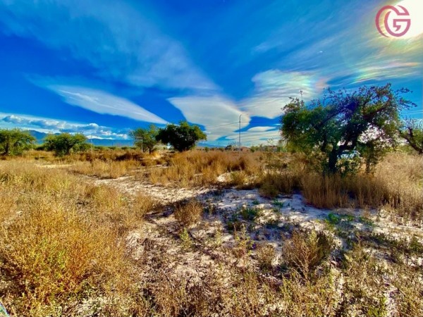 GREENWOOD VENDE LOTE EN VISTALBA CON VISTA UNICA A LA CORDILLERA, TODOS LOS SERVICIOS.