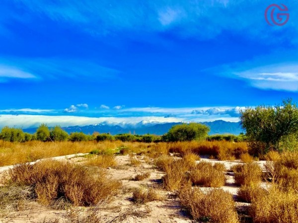 GREENWOOD VENDE LOTE EN VISTALBA CON VISTA UNICA A LA CORDILLERA, TODOS LOS SERVICIOS.