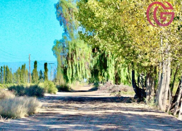 GREENWOOD VENDE FINCA DE 47 HECTAREAS EN LAVALLE