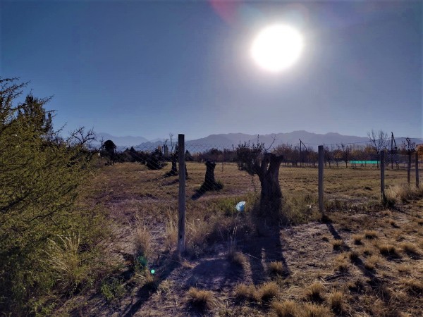 GREENWOOD VENDE HERMOSO Y AMPLIO LOTE EN EL DESTACADO BARRIO PORTAL DE VISTALBA