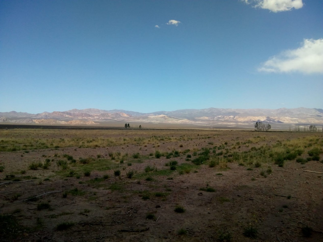 Foto Campo en Venta en Uspallata, Mendoza - U$D 290.000 - pix101071107 - BienesOnLine
