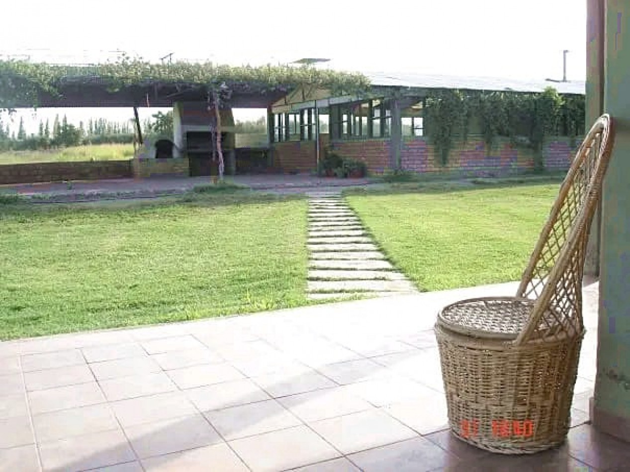 GREENWOOD VENDE IMPECABLE FINCA DE OLIVOS CON CASA PATRONAL Y QUINCHO, IDEAL EMPRENDIMIENTOS