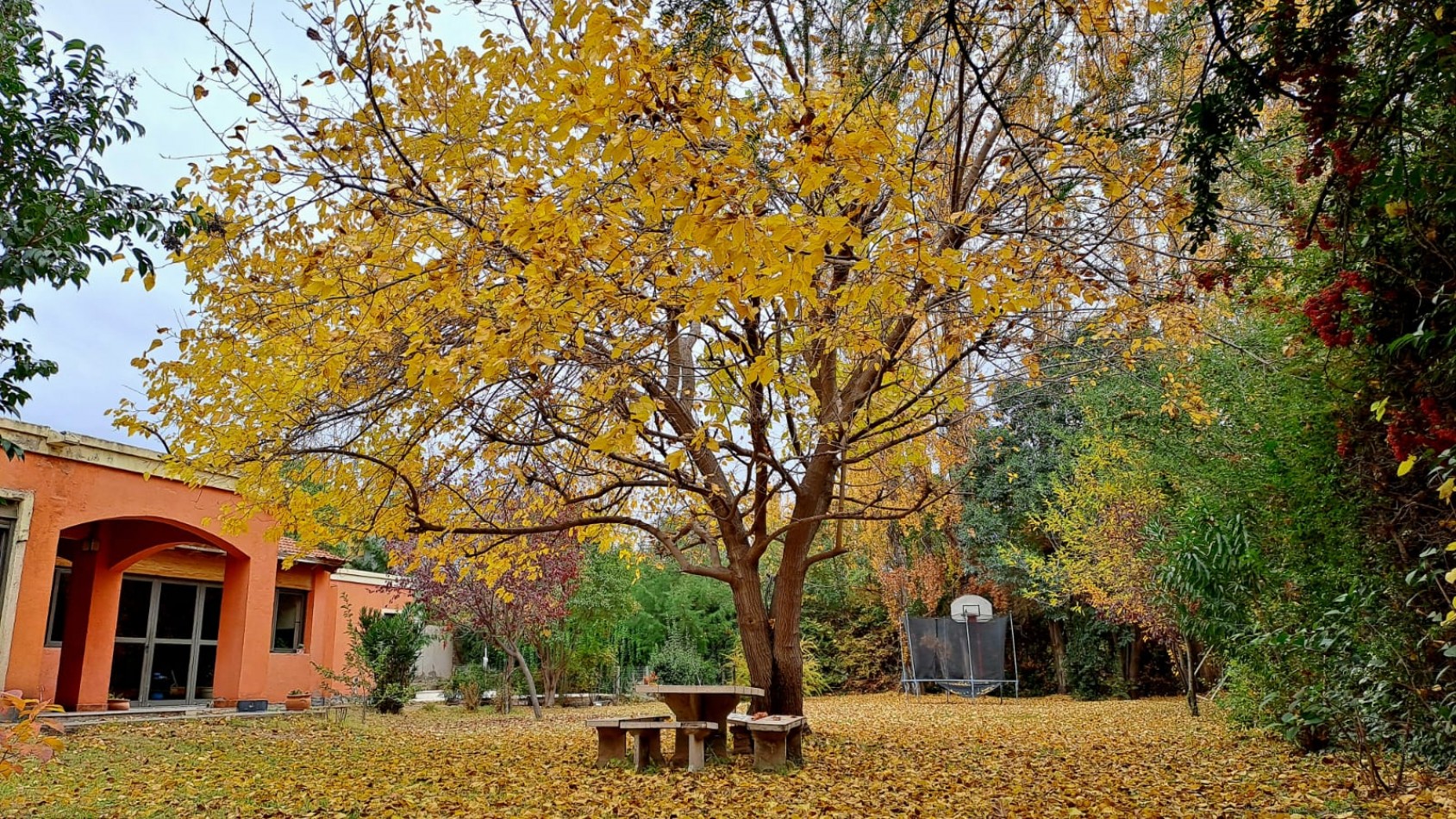 GREENWOOD VENDE BELLISIMA CASA EN EL BARRIO  ALTO CHACRAS  EN CHACRAS DE CORIA DE LUJAN DE CUYO.