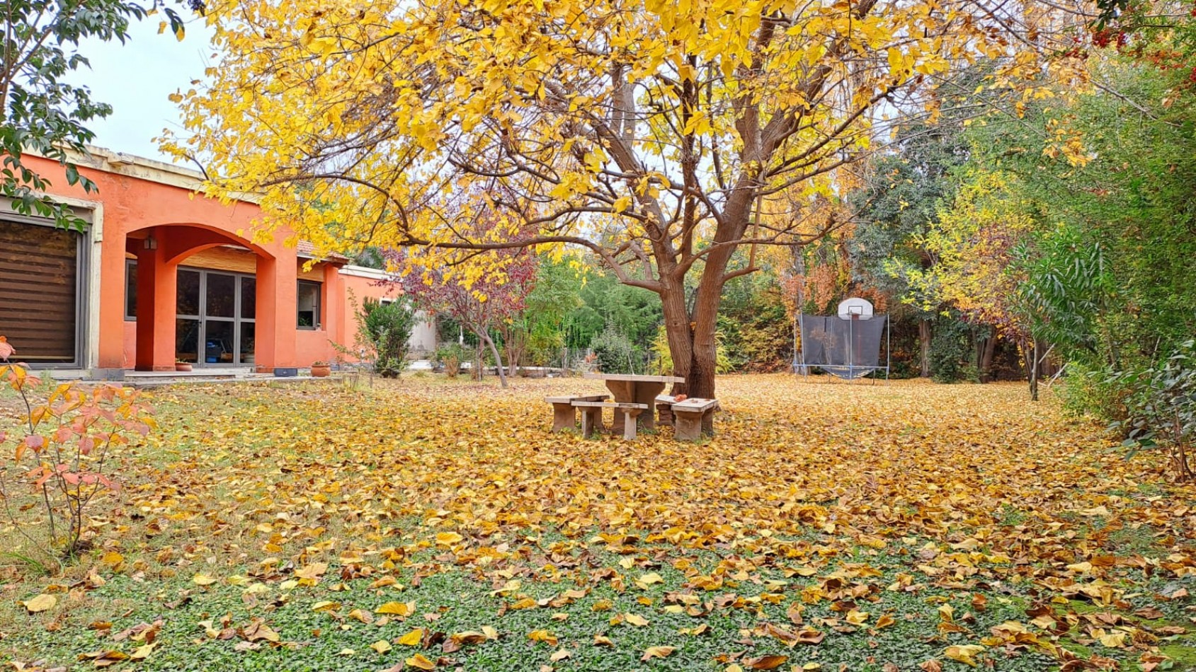 GREENWOOD VENDE BELLISIMA CASA EN EL BARRIO  ALTO CHACRAS  EN CHACRAS DE CORIA DE LUJAN DE CUYO.