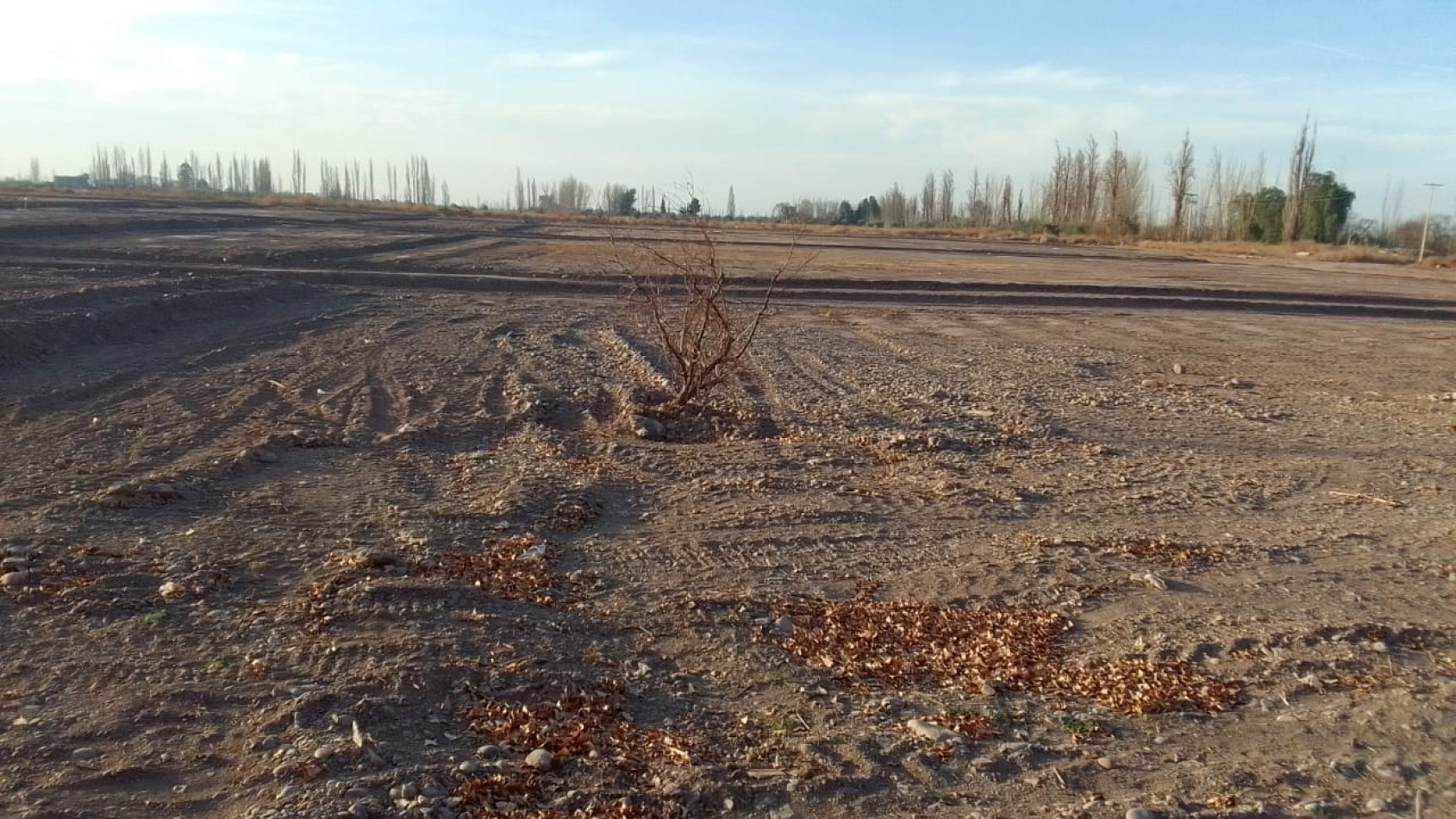 Greenwood Vende Lote en Maipu 