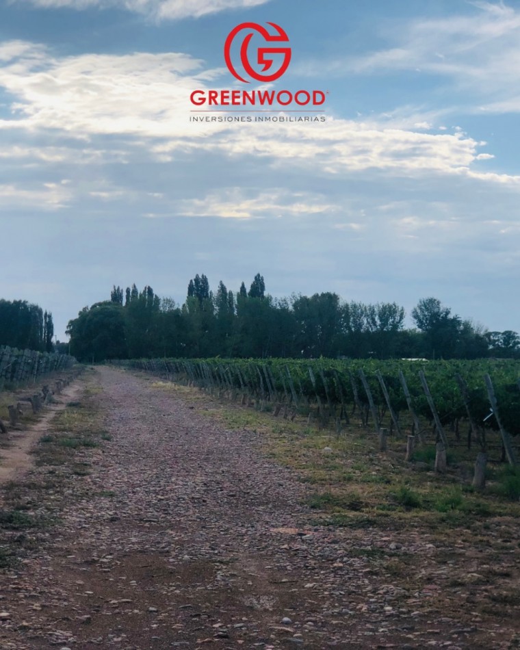 GREENWOOD INVERSIONES INMOBILIARIAS VENDE FINCA UGARTECHE