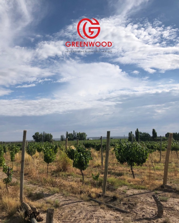 GREENWOOD INVERSIONES INMOBILIARIAS VENDE FINCA UGARTECHE