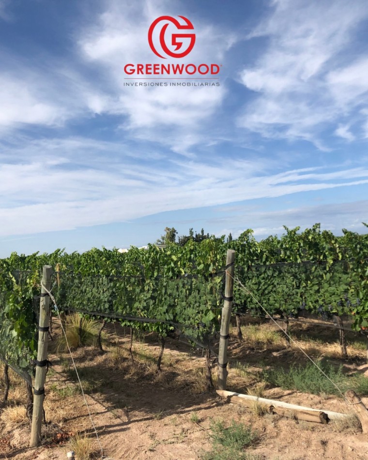 GREENWOOD INVERSIONES INMOBILIARIAS VENDE FINCA UGARTECHE