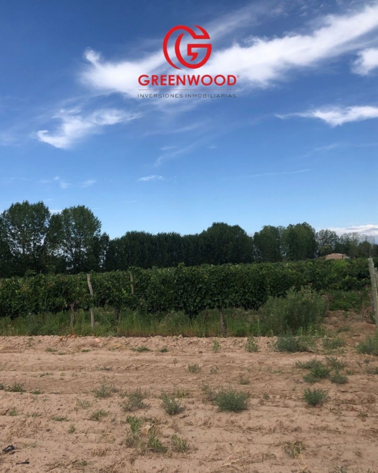 GREENWOOD INVERSIONES INMOBILIARIAS VENDE FINCA UGARTECHE