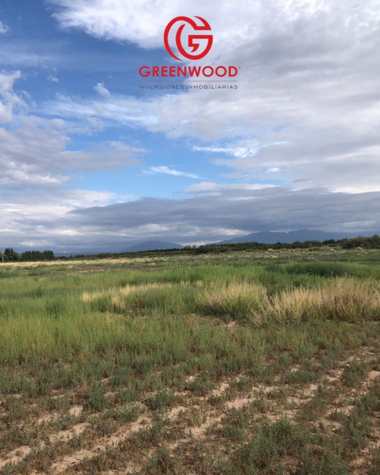 GREENWOOD INVERSIONES INMOBILIARIAS VENDE FINCA UGARTECHE
