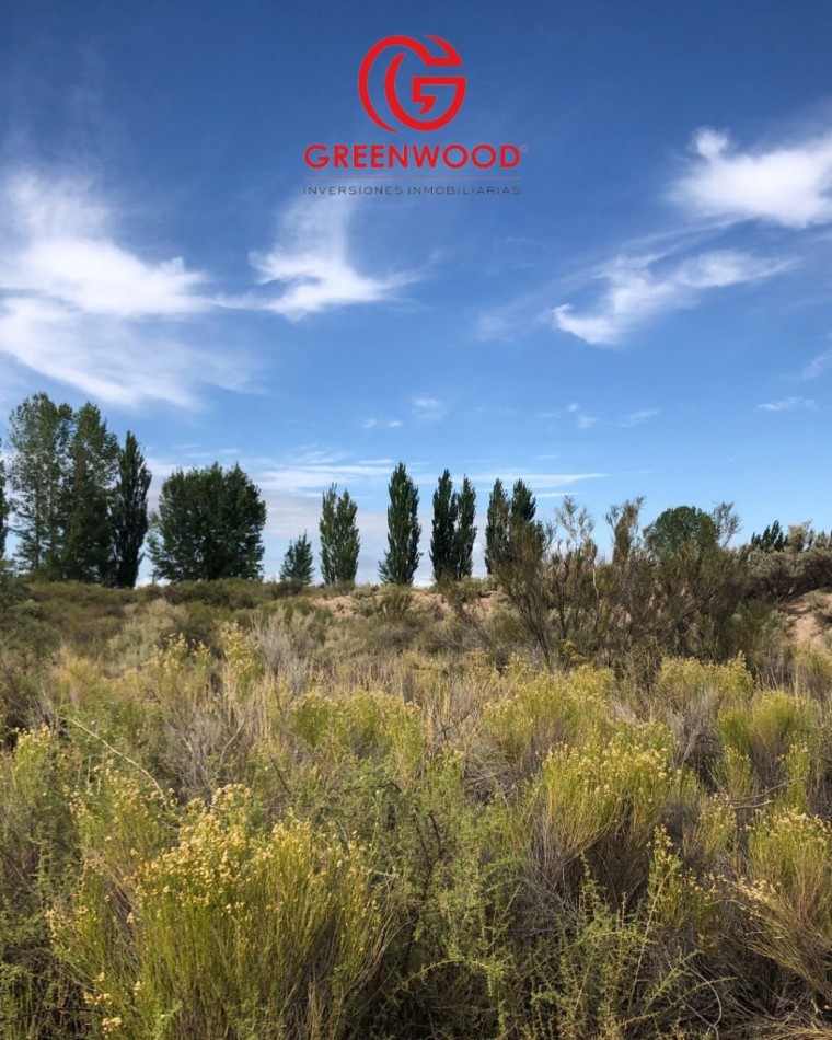 GREENWOOD INVERSIONES INMOBILIARIAS VENDE FINCA UGARTECHE