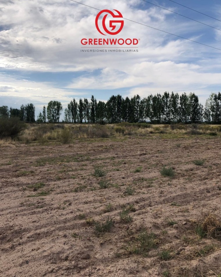 GREENWOOD INVERSIONES INMOBILIARIAS VENDE FINCA UGARTECHE