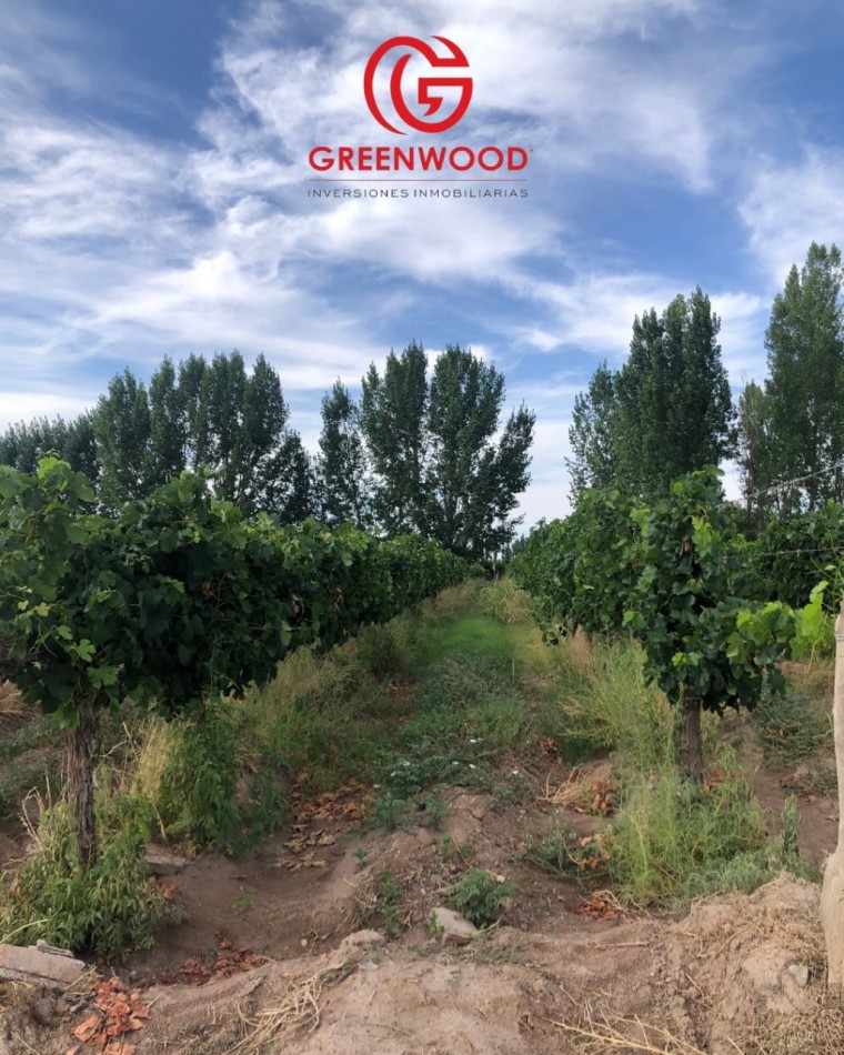 GREENWOOD INVERSIONES INMOBILIARIAS VENDE FINCA UGARTECHE