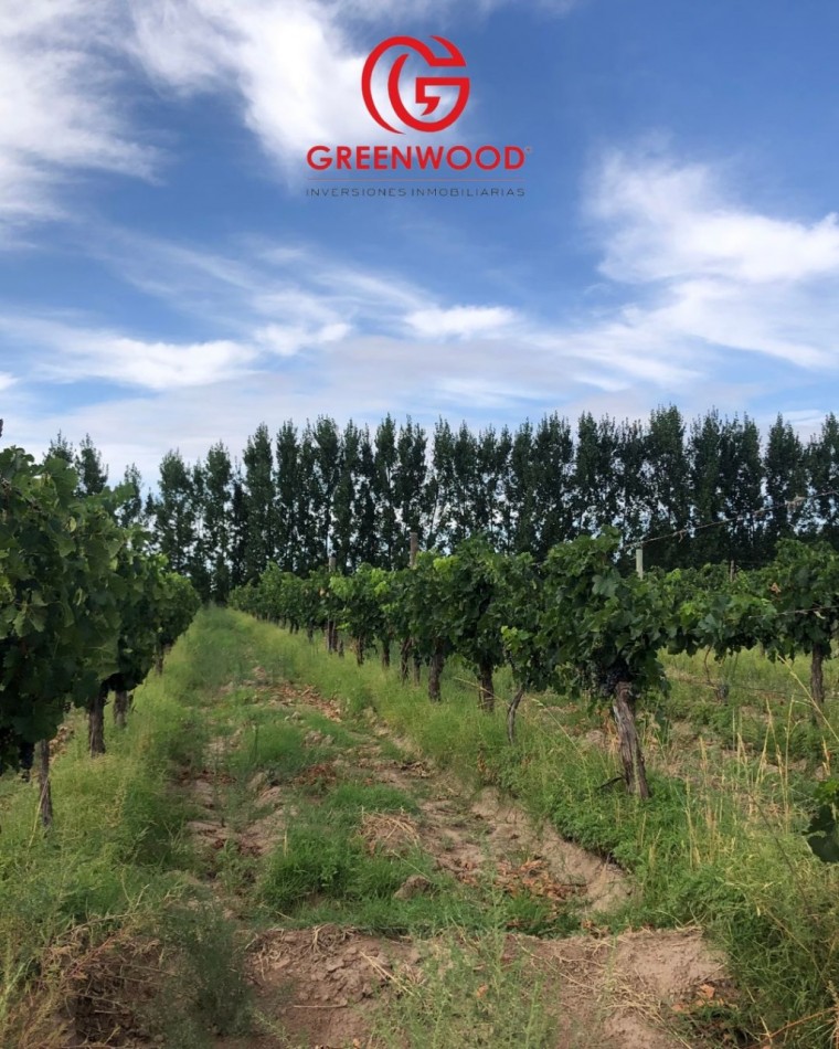 GREENWOOD INVERSIONES INMOBILIARIAS VENDE FINCA UGARTECHE