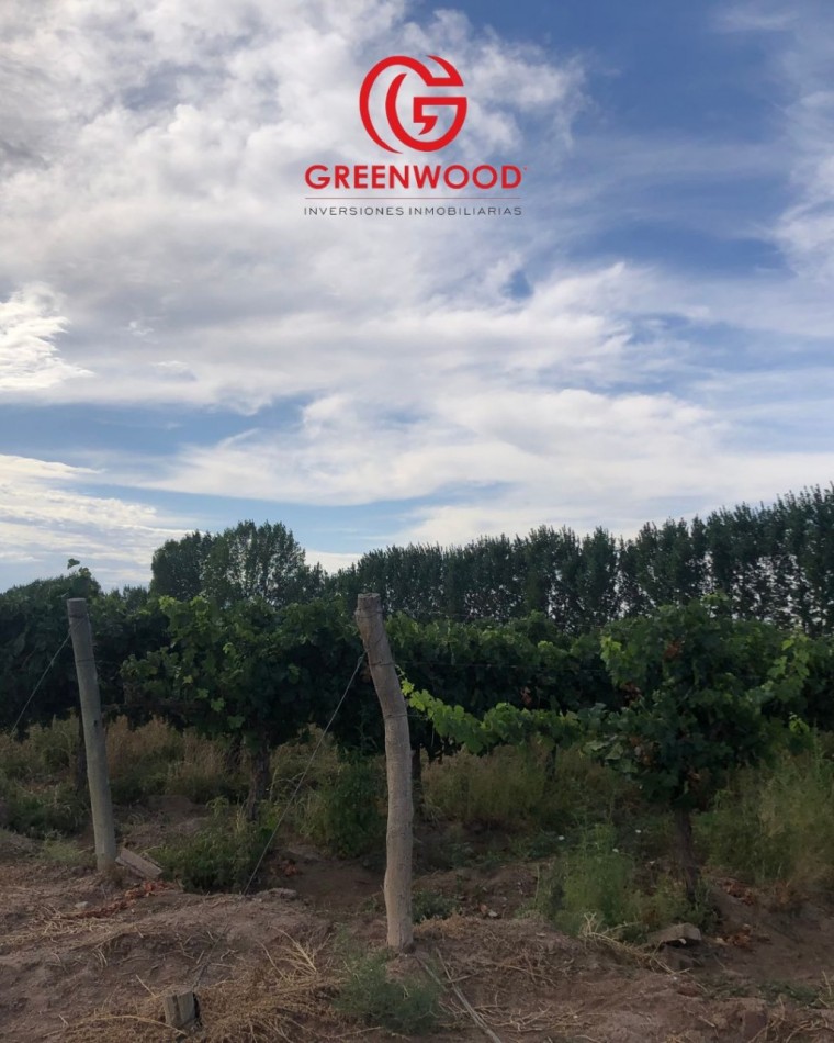 GREENWOOD INVERSIONES INMOBILIARIAS VENDE FINCA UGARTECHE
