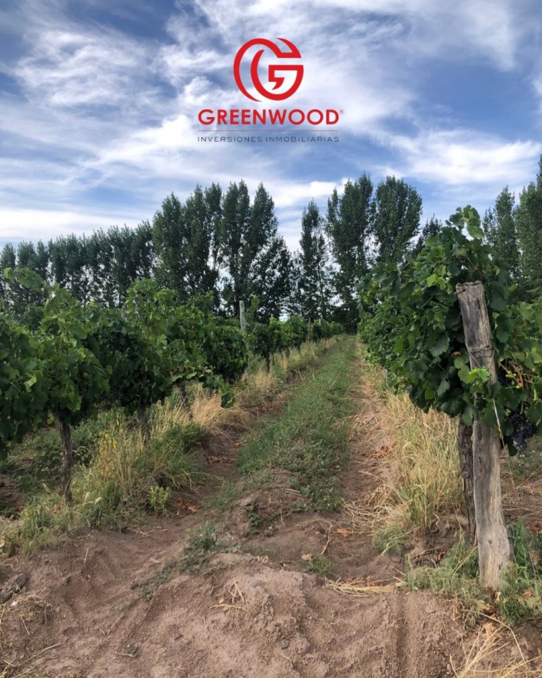 GREENWOOD INVERSIONES INMOBILIARIAS VENDE FINCA UGARTECHE