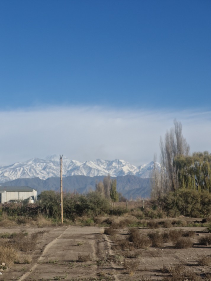 GREENWOOD INMOBILIARIA VENDE - LOTE EN LUJAN DE CUYO, PERDRIEL