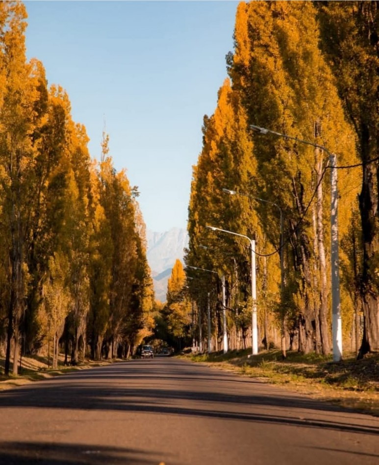 GREENWOOD VENDE GRAN TERRENO EN LAS COMPUERTAS, LUJAN DE CUYO.