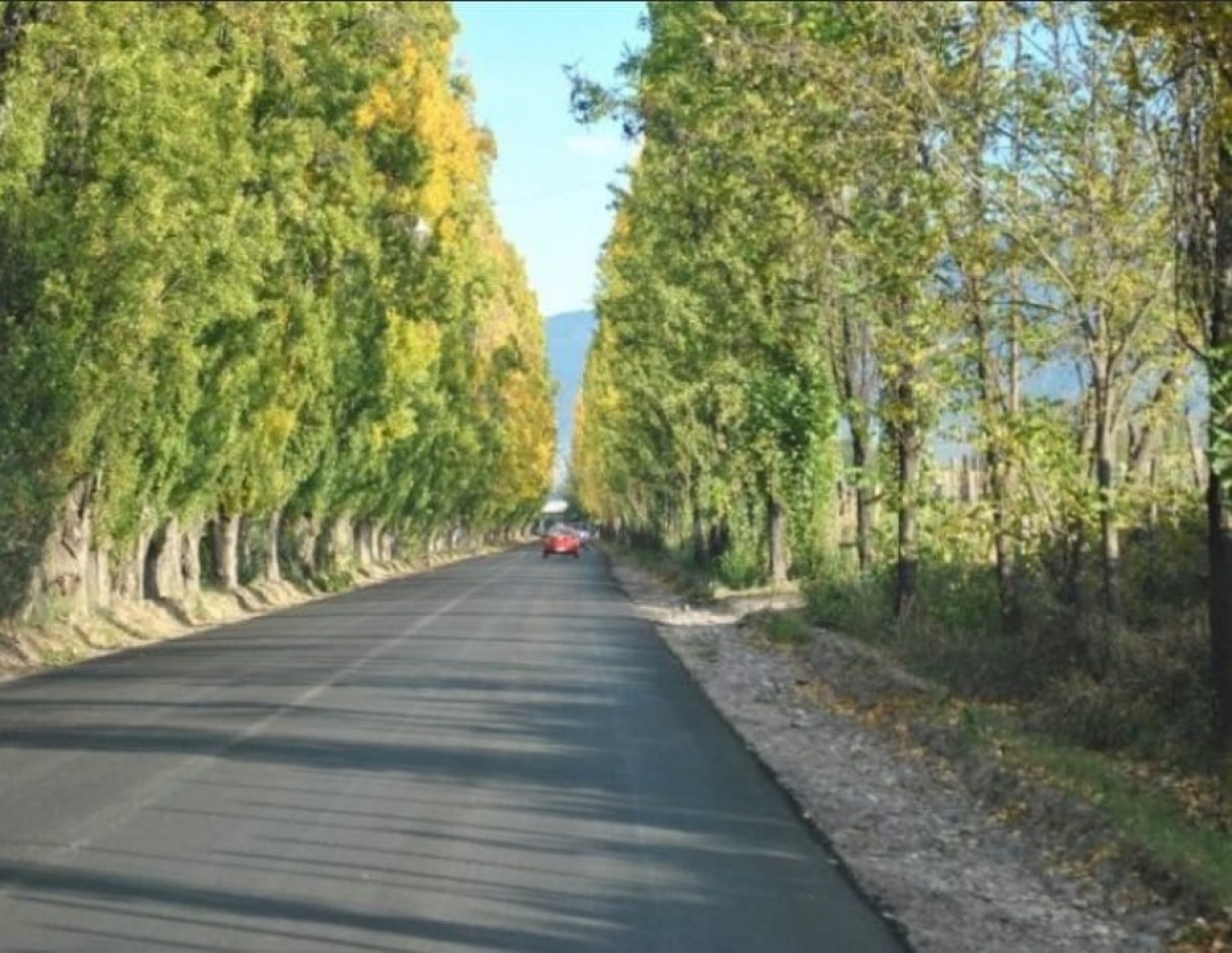 GREENWOOD VENDE GRAN TERRENO EN LAS COMPUERTAS, LUJAN DE CUYO.