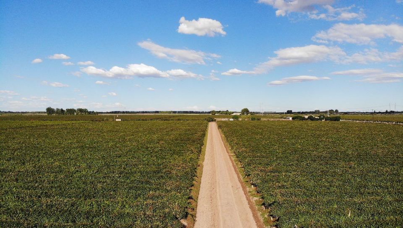 GREENWOOD INMOBILIARIA VENDE HERMOSA FINCA