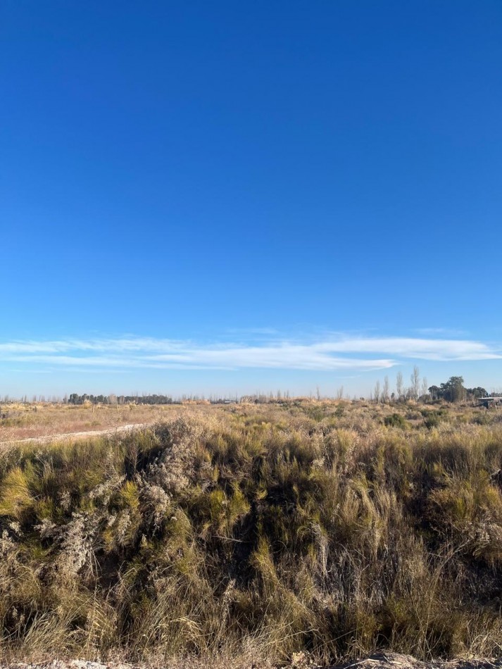 GREENWOOD INMOBILIARIA VENDE  TERRENO CON GRAN POSIBILIDAD DE INVERSION