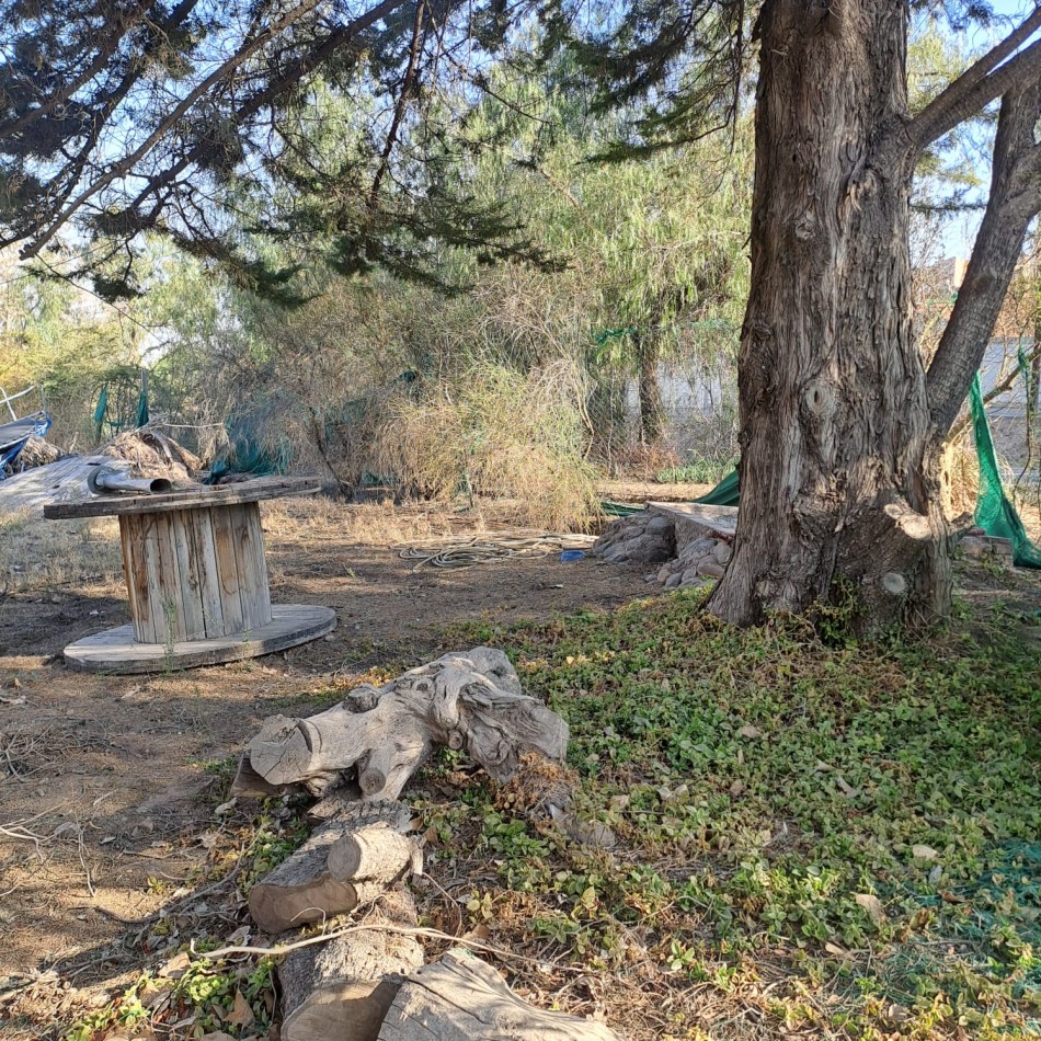 GREENWOOD INMOBILIARIA VENDE LOTE EN LUJAN DE CUYO VISTALBA!