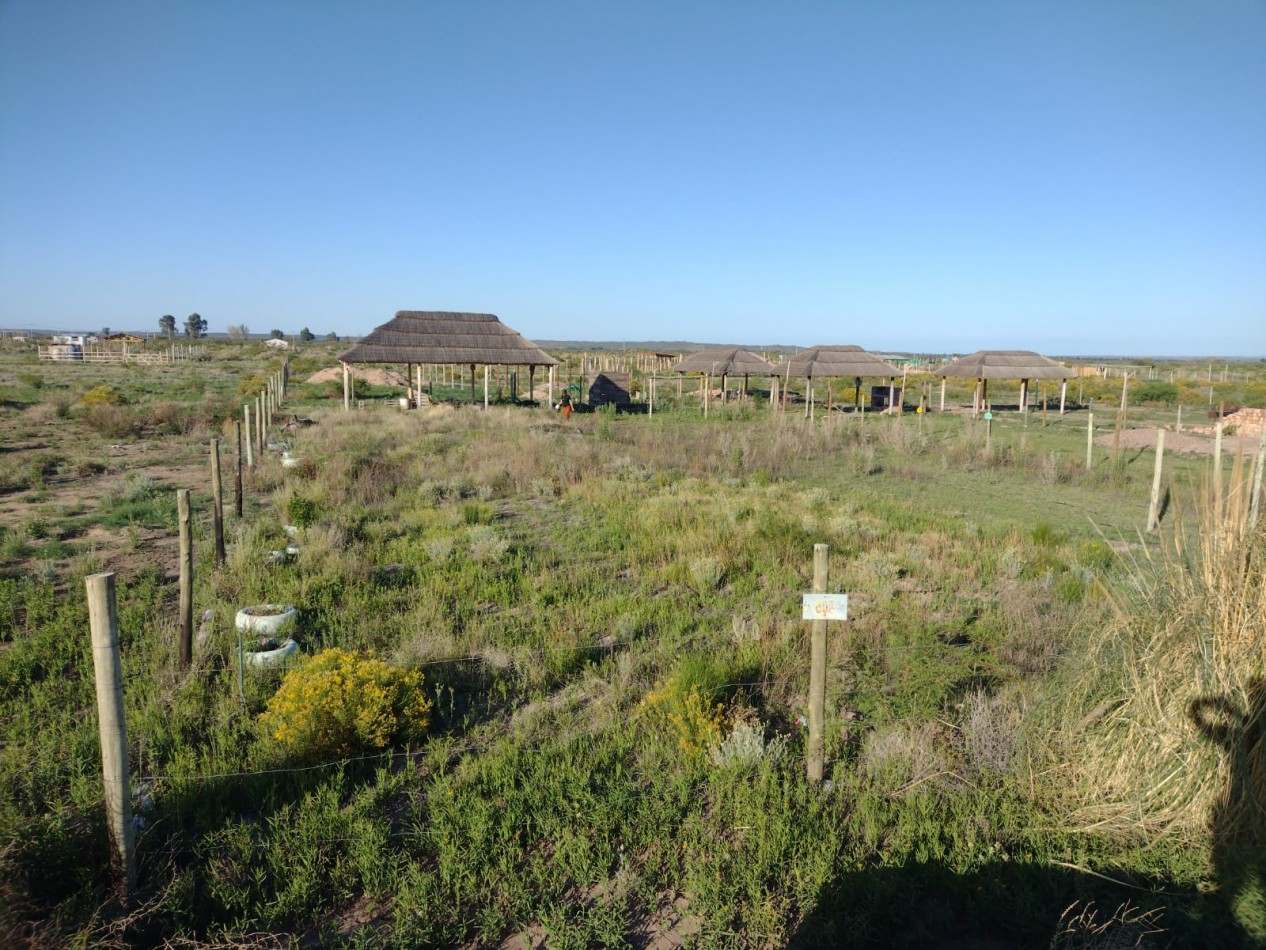 GREENWOOD INMOBILIARIA VENDE LOTE EN EL CARRIZAL DE ABAJO! 