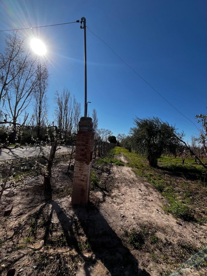 Greenwood vende Finca de 4 Hectareas.