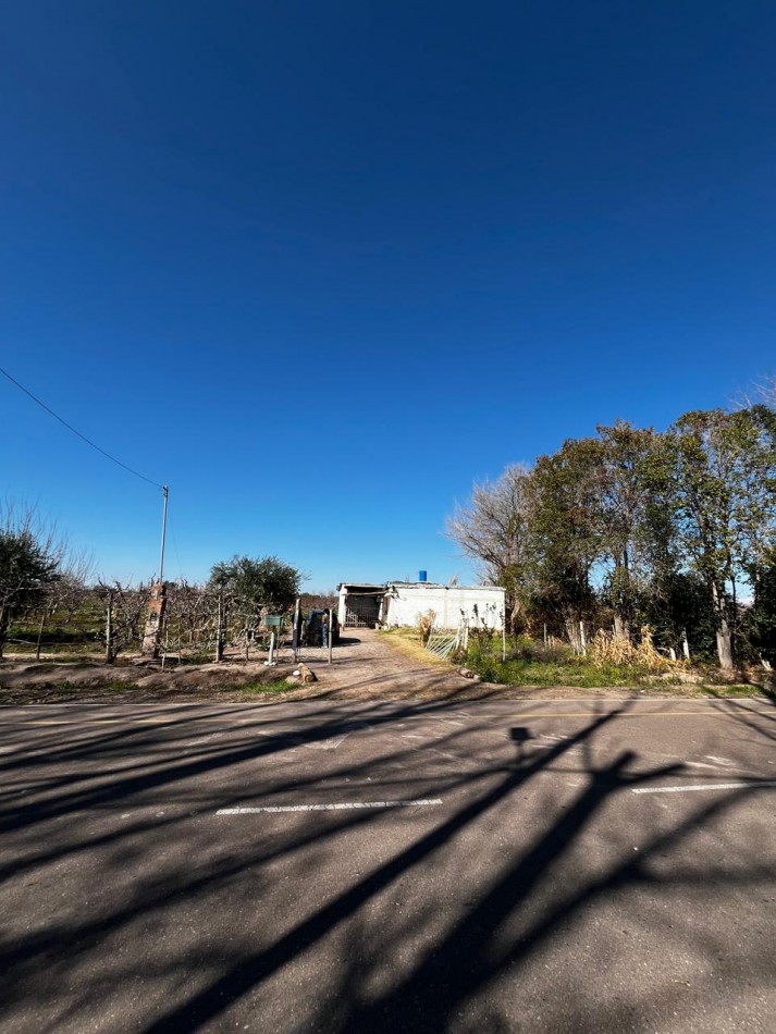 Greenwood vende Finca de 4 Hectareas.