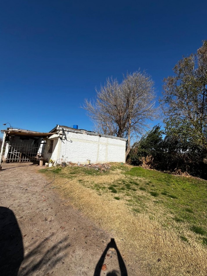 Greenwood vende Finca de 4 Hectareas.