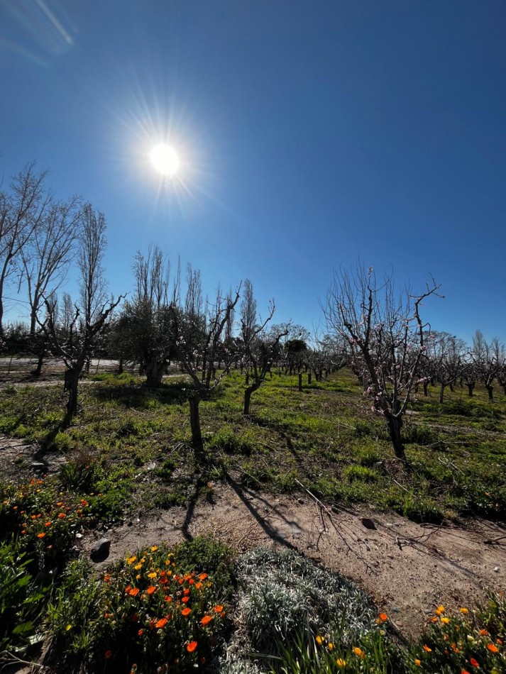 Greenwood vende Finca de 4 Hectareas.