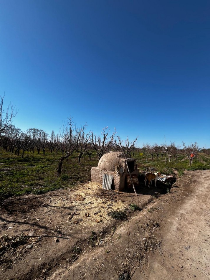 Greenwood vende Finca de 4 Hectareas.