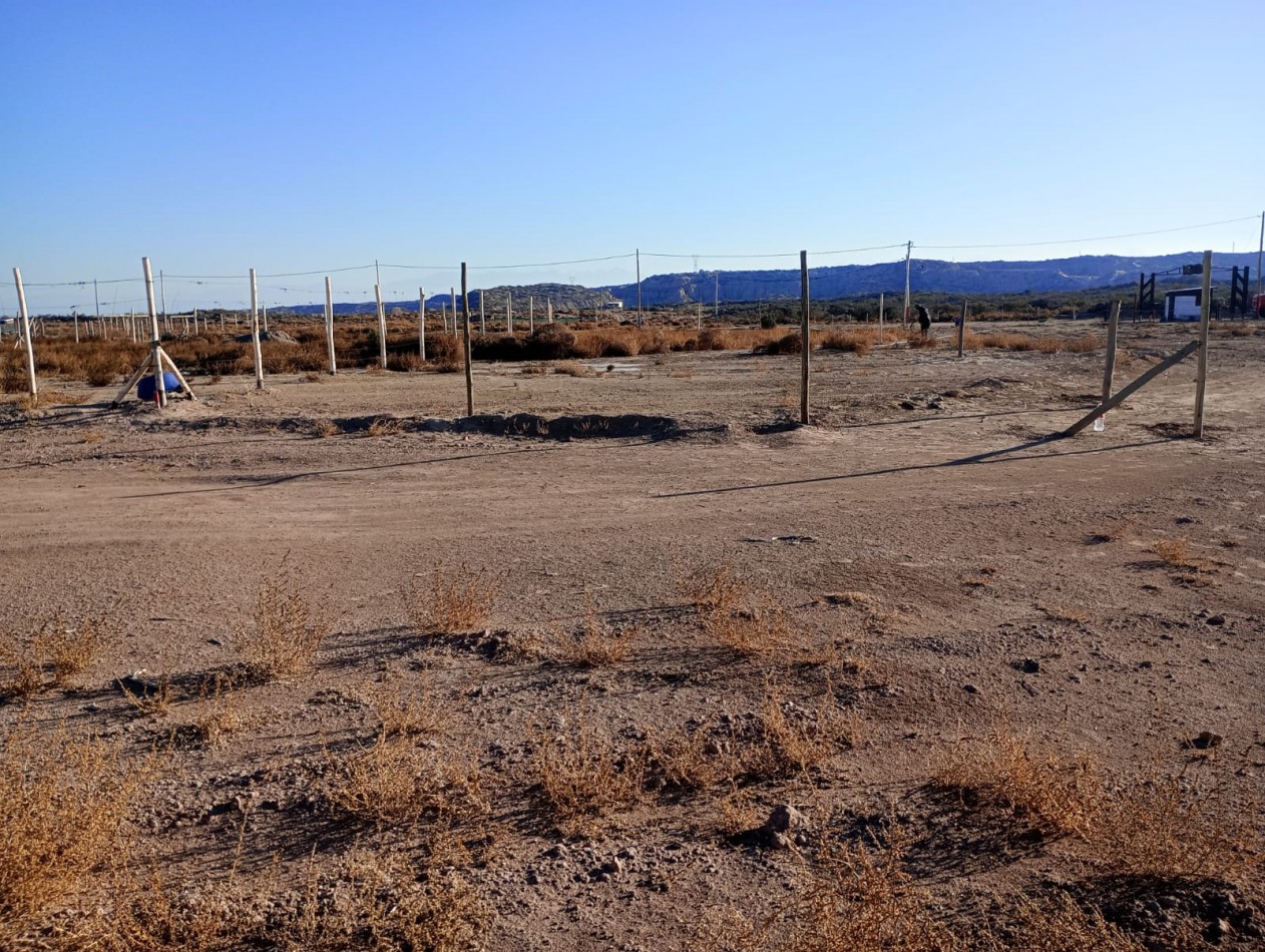GREENWOOD INMOBILIARIA vende lote de 500 m² en el exclusivo barrio semi-privado El Carrizal de Abajo.