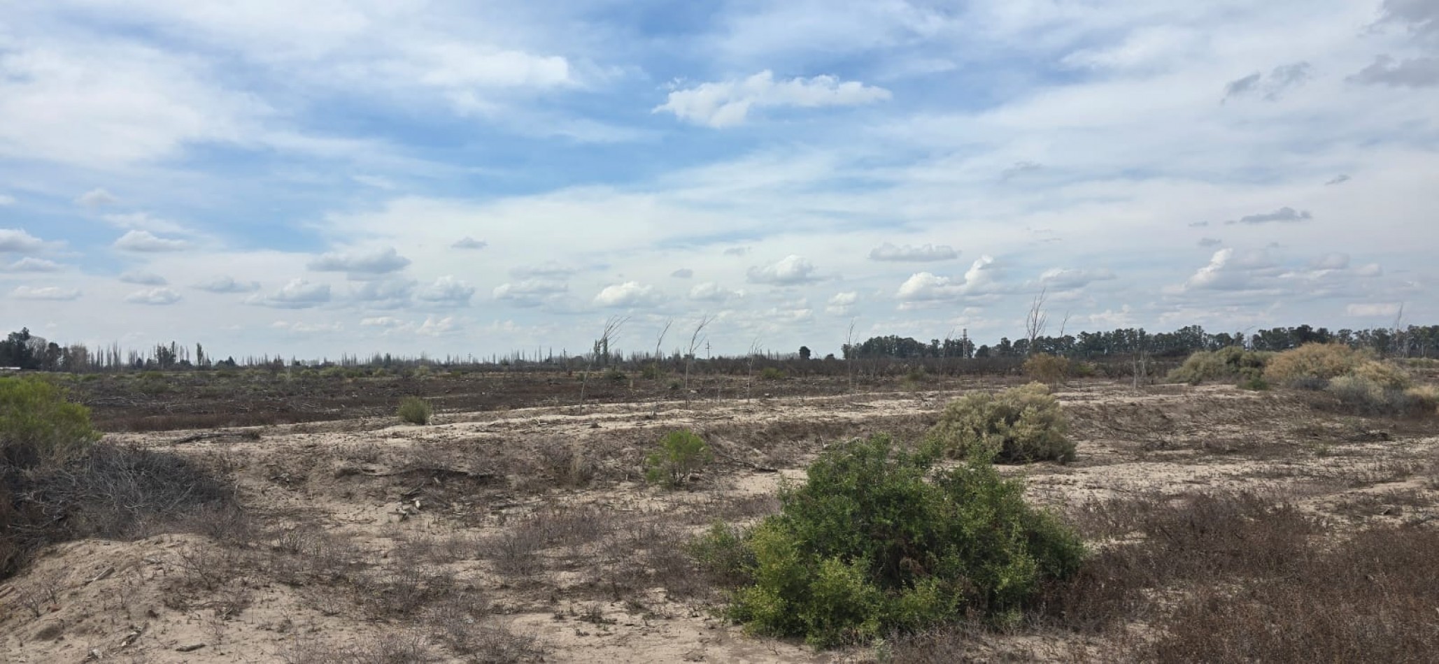 GREENWOOD INMOBILIARIA VENDE FINCA EN SANTA ROSA