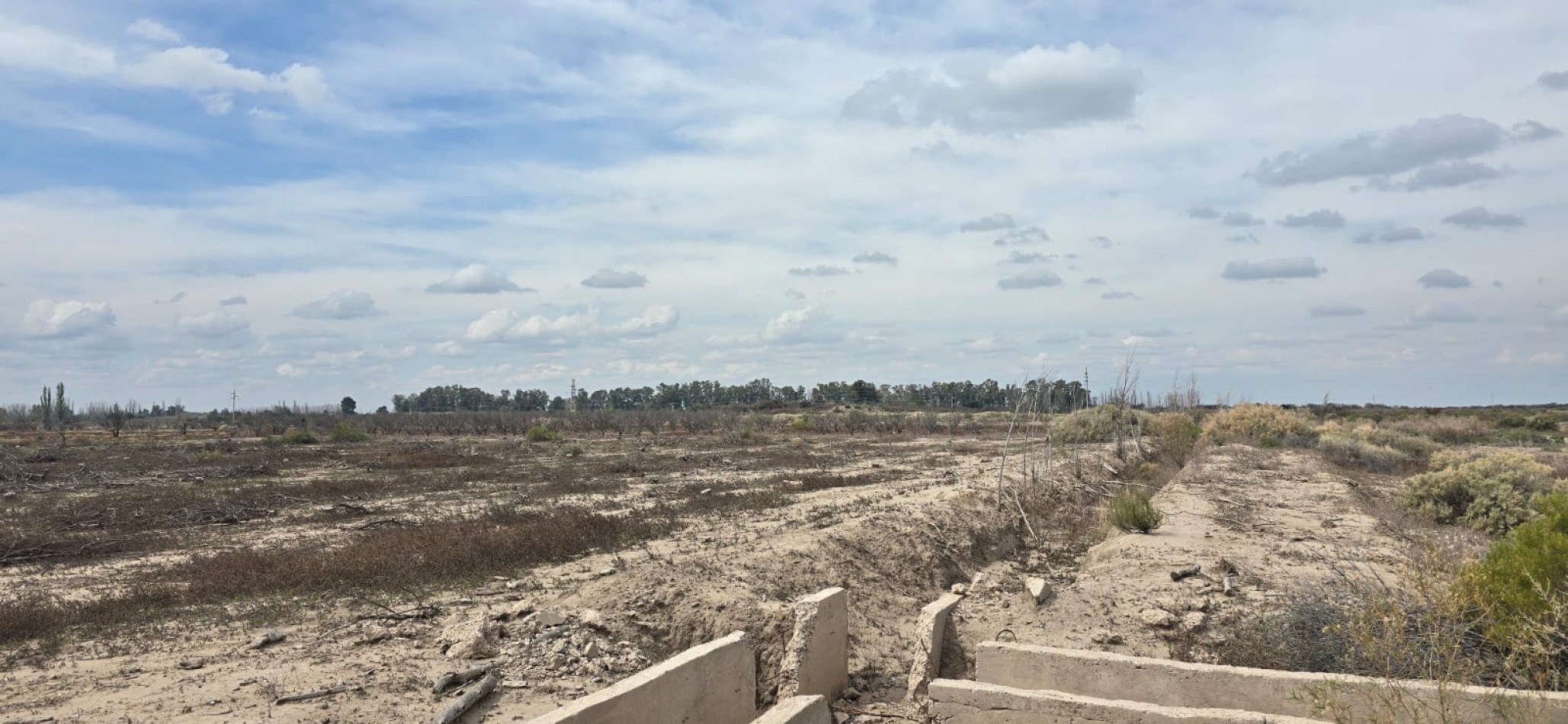 GREENWOOD INMOBILIARIA VENDE FINCA EN SANTA ROSA
