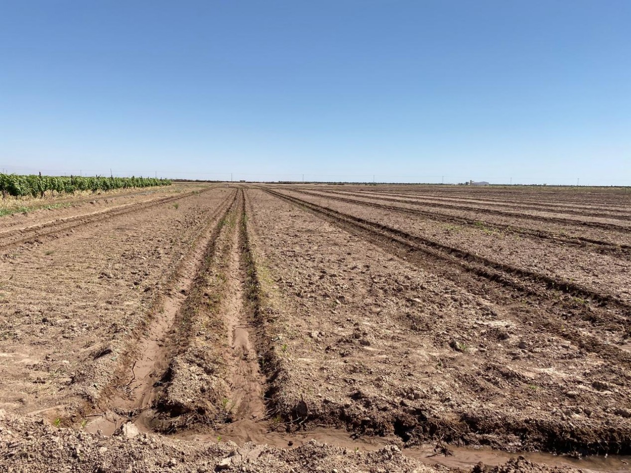 GREENWOOD INMOBILIARIA Presenta Finca Productiva de 24 Hectareas en la Prestigiosa Region de Jocoli