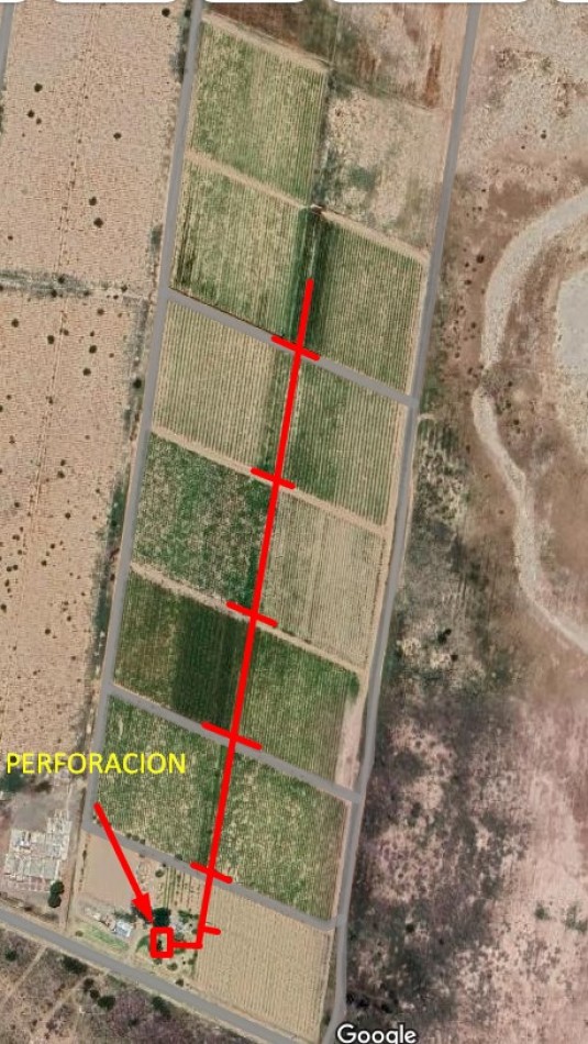 GREENWOOD INMOBILIARIA Presenta Finca Productiva de 24 Hectareas en la Prestigiosa Region de Jocoli