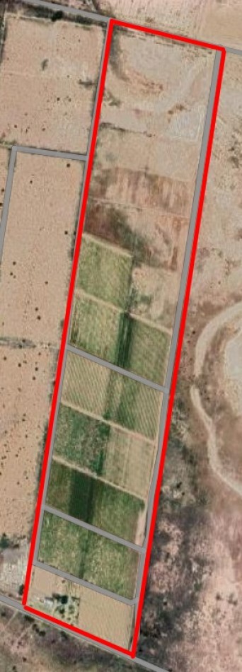 GREENWOOD INMOBILIARIA Presenta Finca Productiva de 24 Hectareas en la Prestigiosa Region de Jocoli