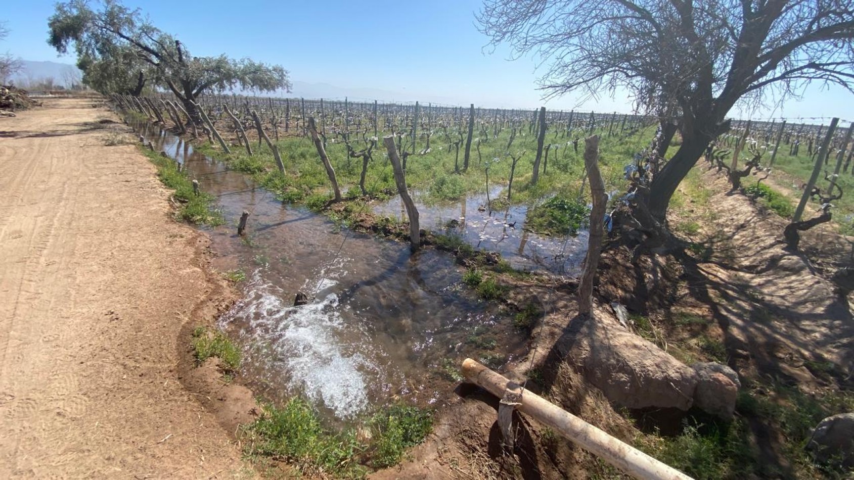 GREENWOOD INMOBILIARIA Presenta Finca Productiva de 24 Hectareas en la Prestigiosa Region de Jocoli