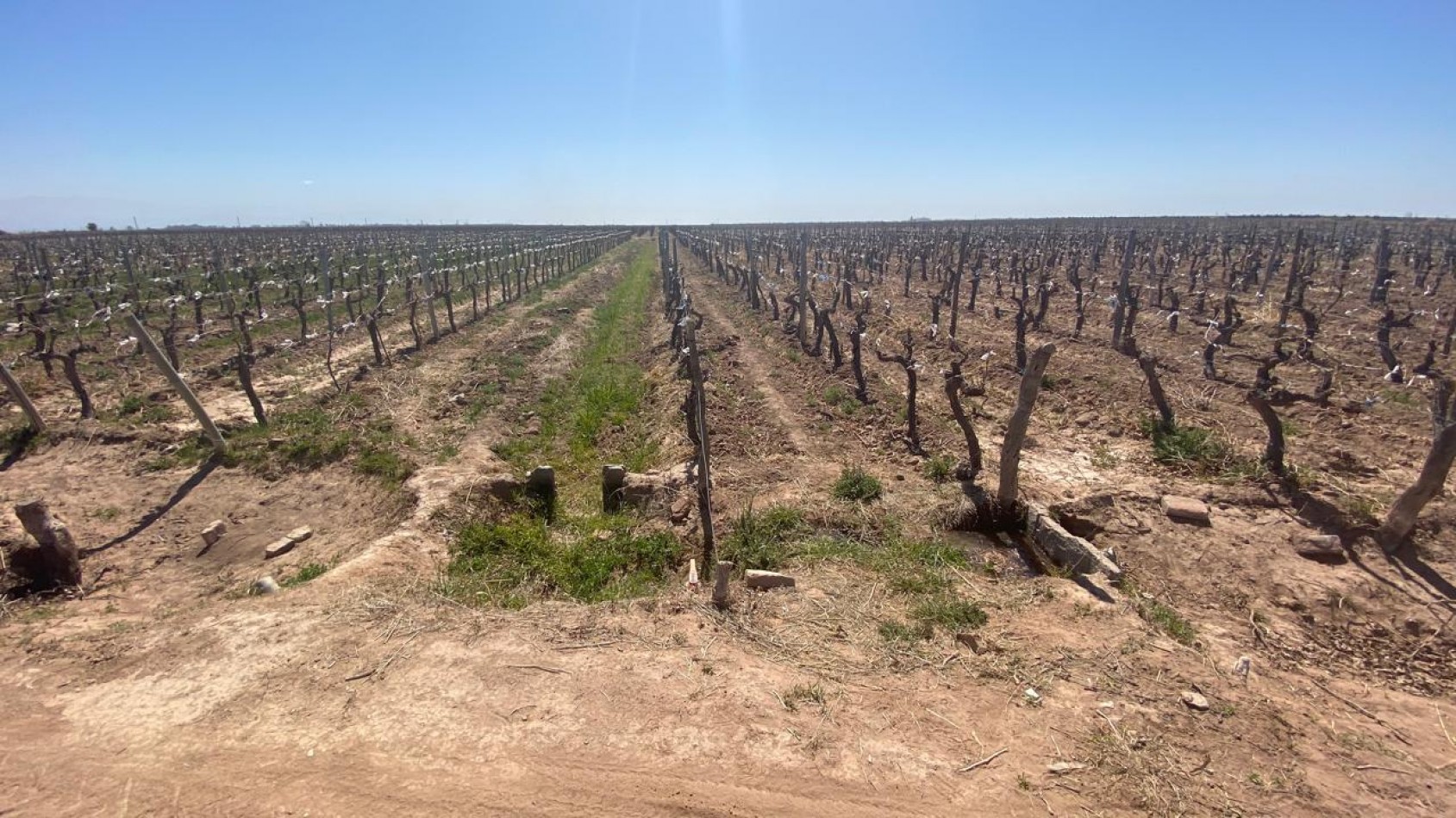 GREENWOOD INMOBILIARIA Presenta Finca Productiva de 24 Hectareas en la Prestigiosa Region de Jocoli