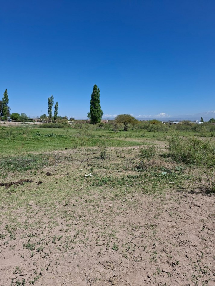 Greenwood Inmobiliaria vende finca de 3,6 hectareas en Calle Brandsen - Perdriel, Lujan de Cuyo.