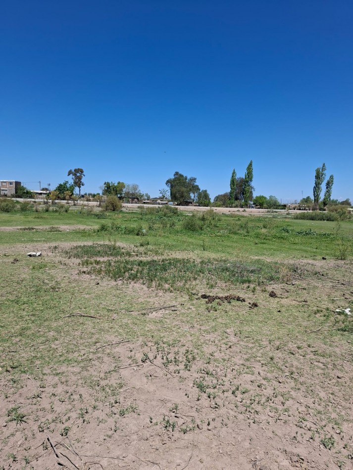 Greenwood Inmobiliaria vende finca de 3,6 hectareas en Calle Brandsen - Perdriel, Lujan de Cuyo.