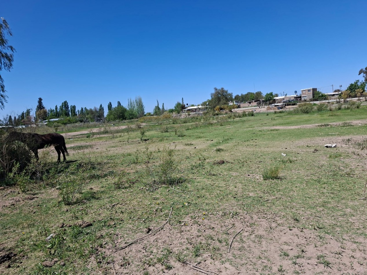Greenwood Inmobiliaria vende finca de 3,6 hectareas en Calle Brandsen - Perdriel, Lujan de Cuyo.