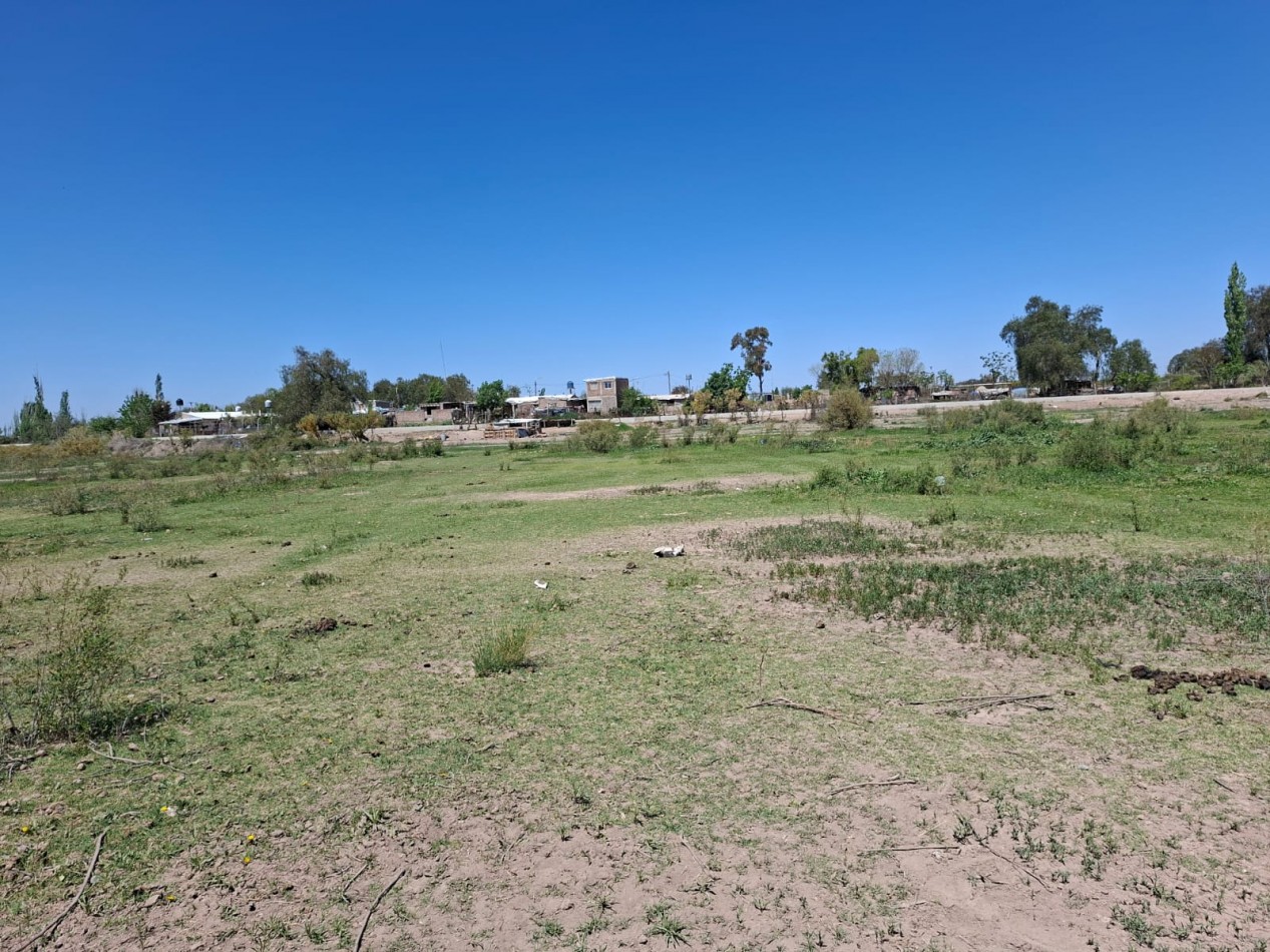 Greenwood Inmobiliaria vende finca de 3,6 hectareas en Calle Brandsen - Perdriel, Lujan de Cuyo.