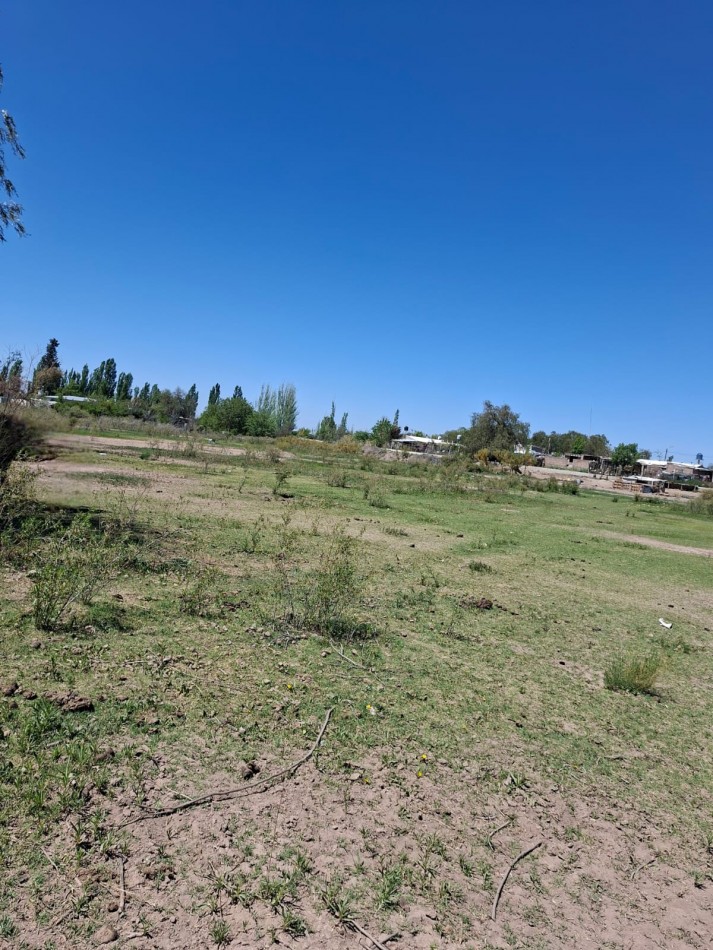 Greenwood Inmobiliaria vende finca de 3,6 hectareas en Calle Brandsen - Perdriel, Lujan de Cuyo.