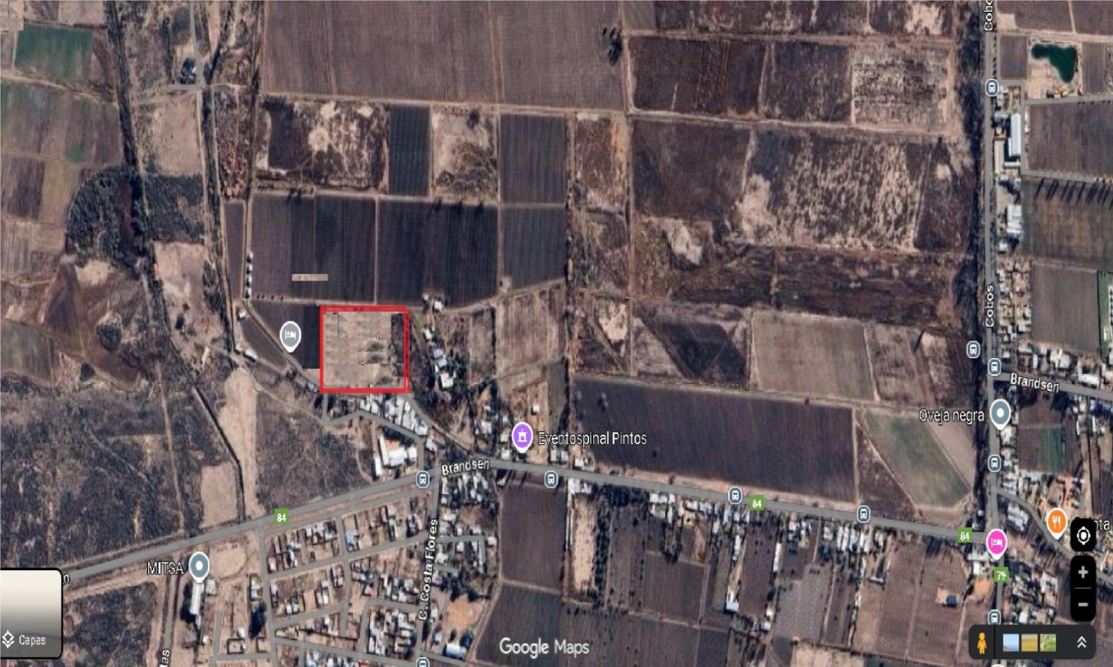 Greenwood Inmobiliaria vende finca de 3,6 hectareas en Calle Brandsen - Perdriel, Lujan de Cuyo.