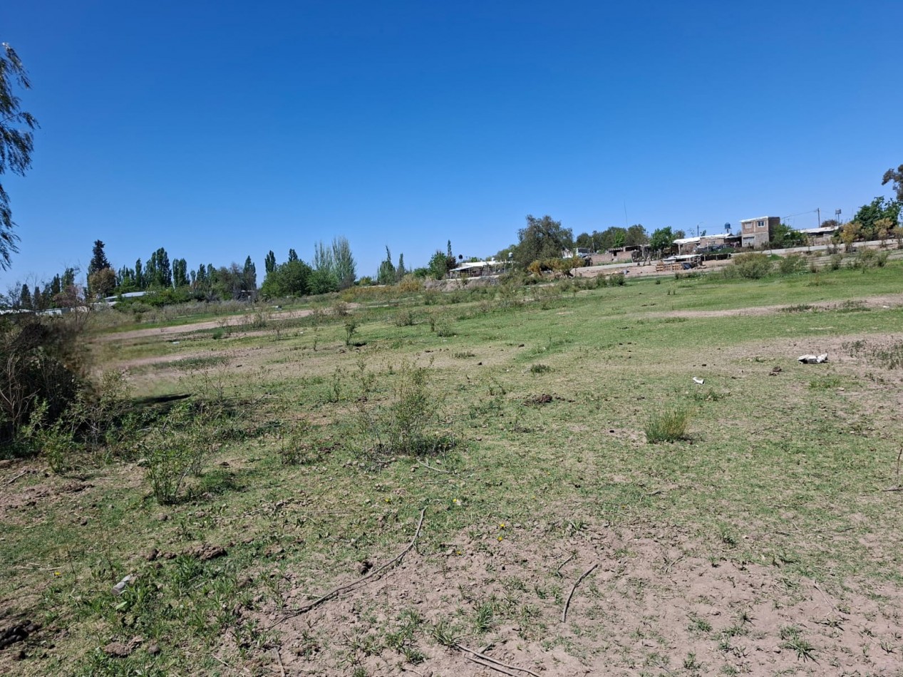 Greenwood Inmobiliaria vende finca de 3,6 hectareas en Calle Brandsen - Perdriel, Lujan de Cuyo.