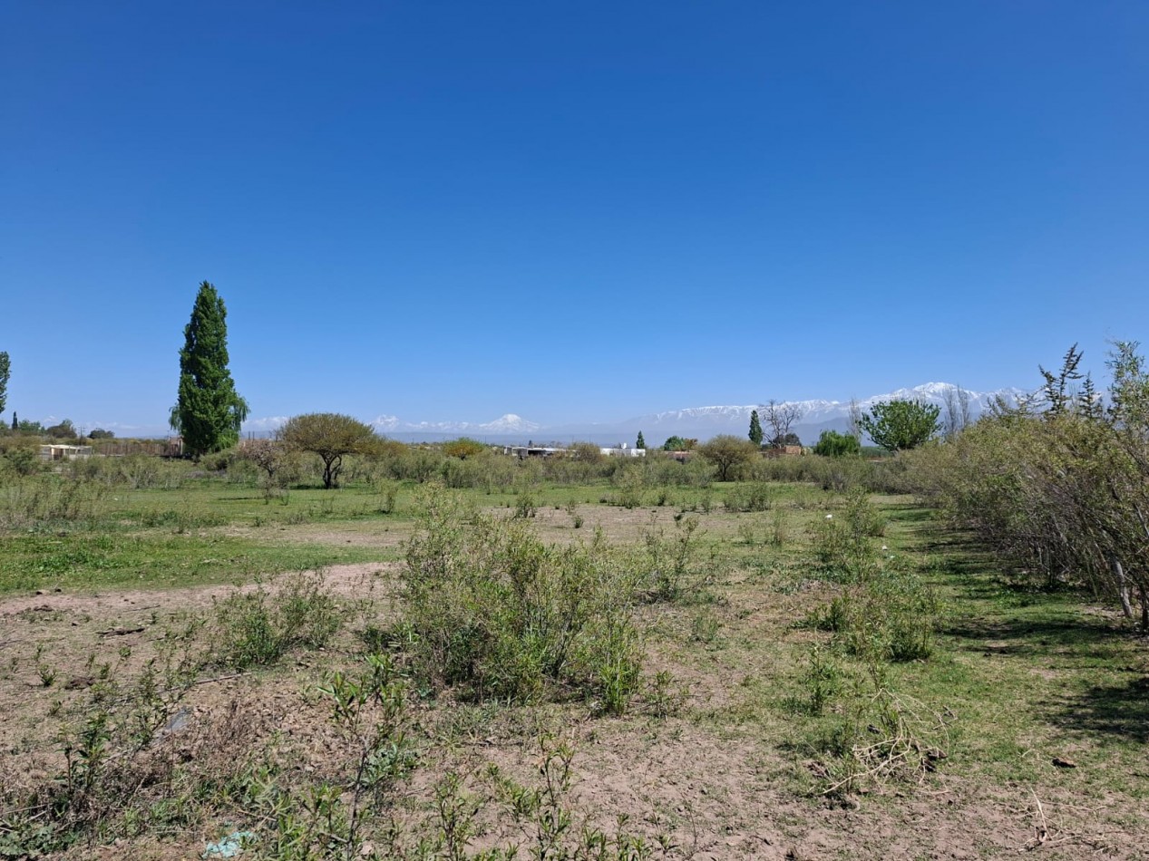 Greenwood Inmobiliaria vende finca de 3,6 hectareas en Calle Brandsen - Perdriel, Lujan de Cuyo.