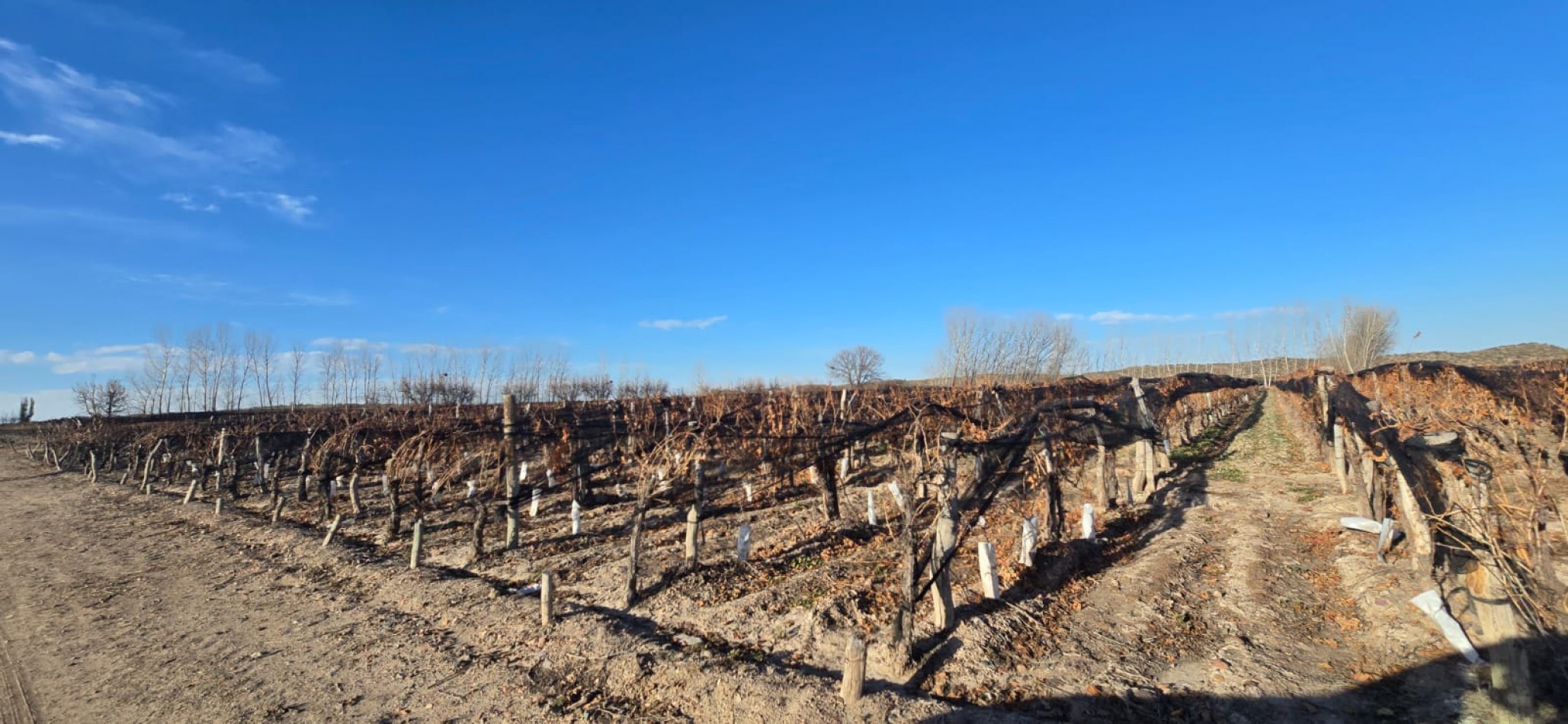 GREENWOOD INMOBILIARIA VENDE HERMOSA FINCA EN UGARTECHE